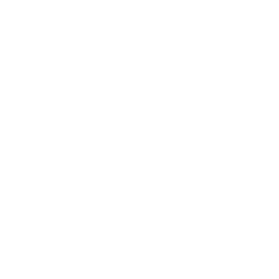 Durability icon