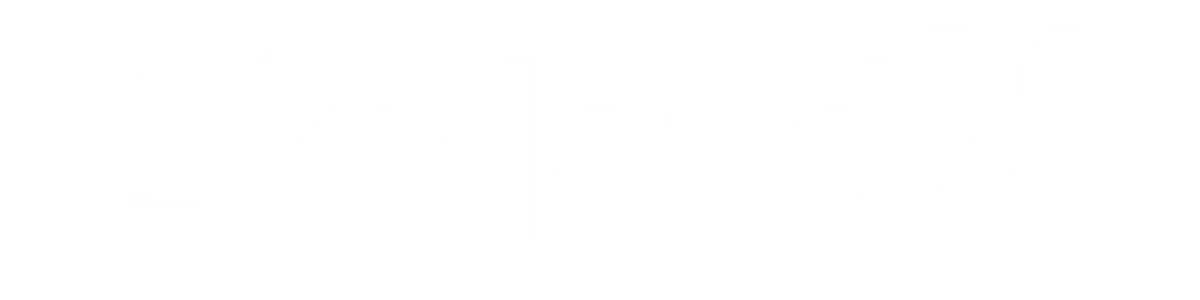 Skyland X Logo
